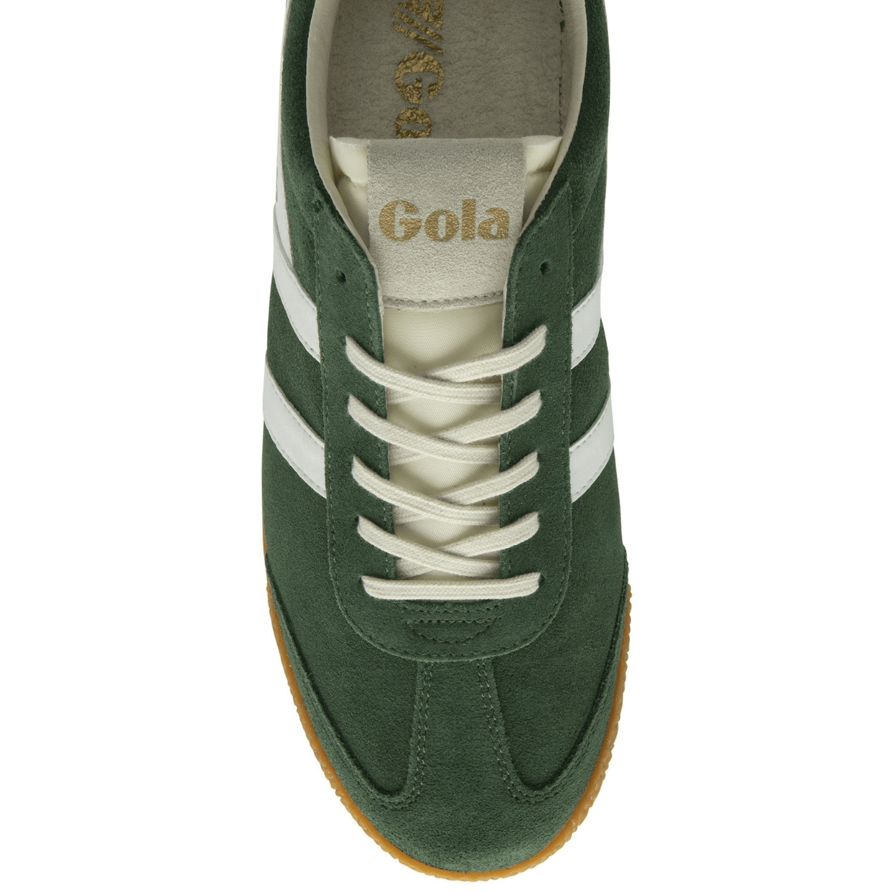 Evergreen/White