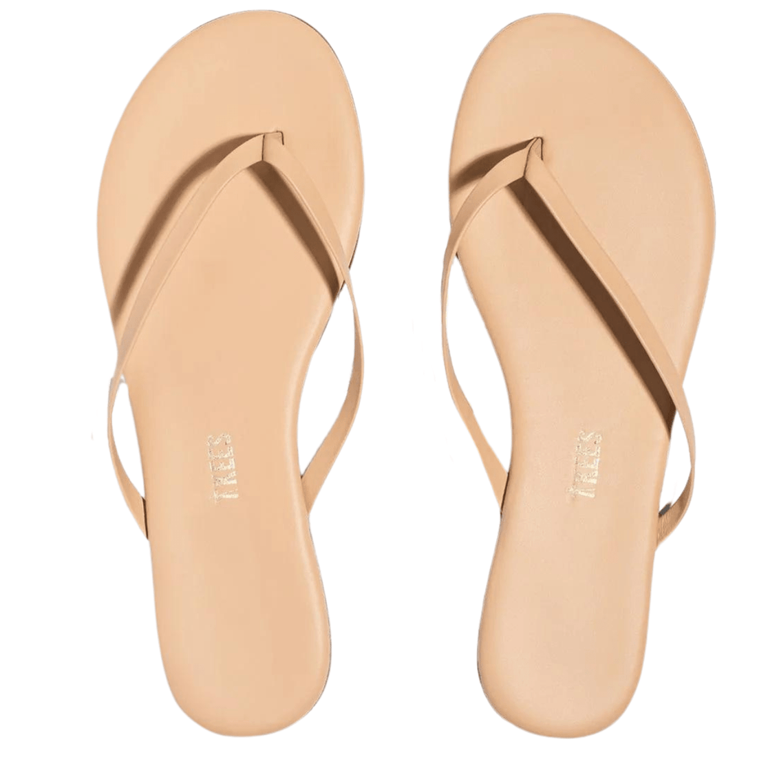 TKEES Foundations, Sunkiss – alternate view