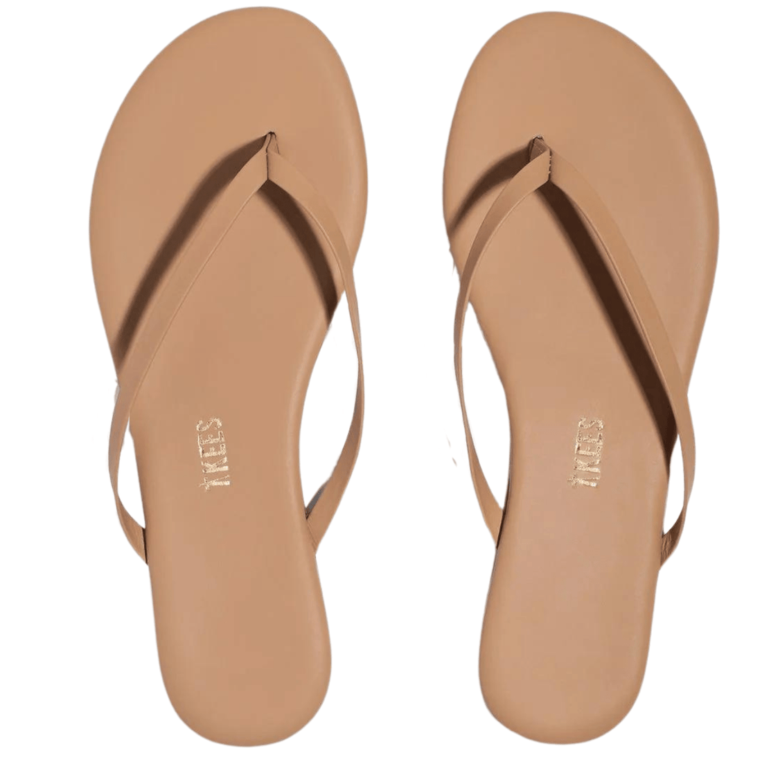 TKEES Foundations, Cocoa – alternate view