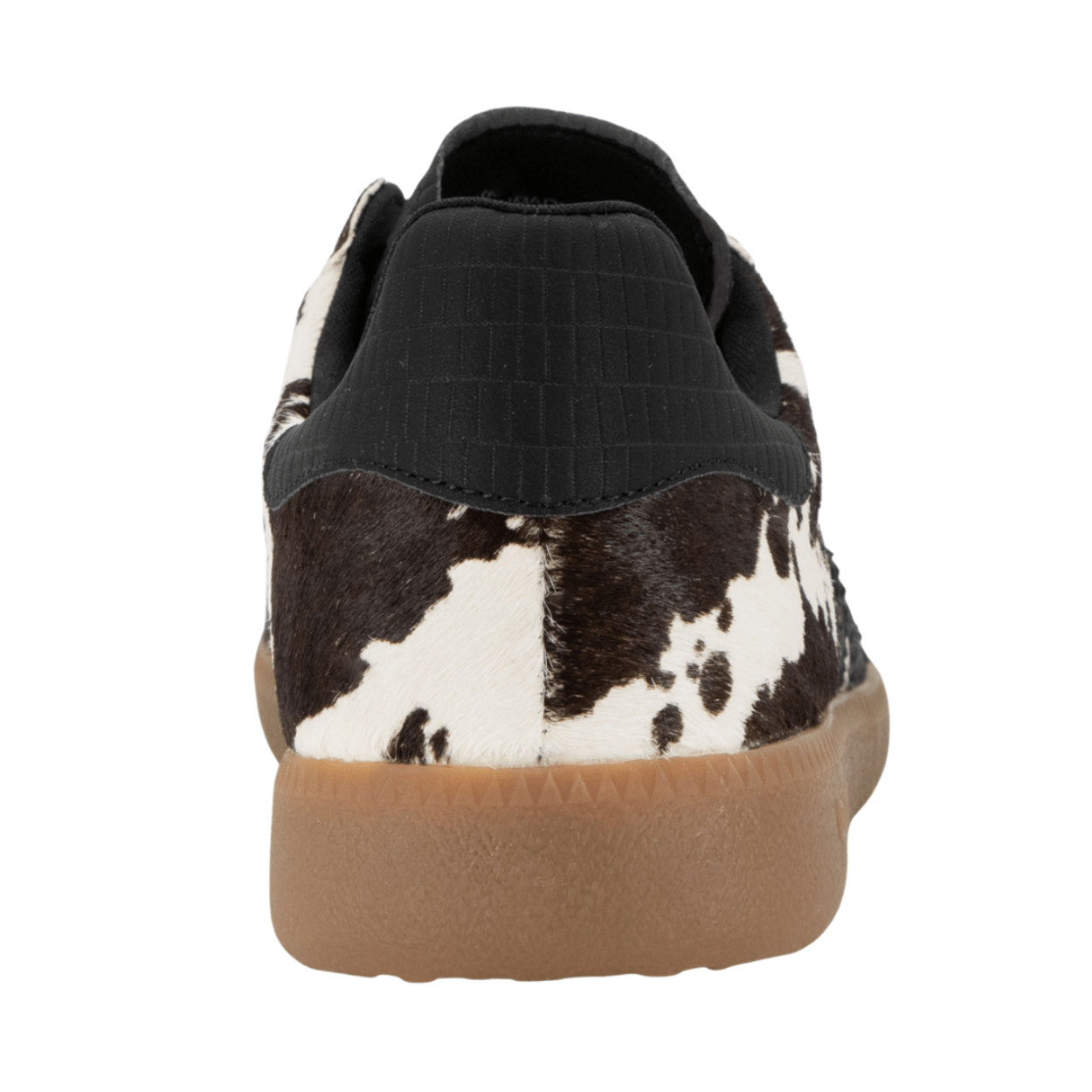 cow black white black