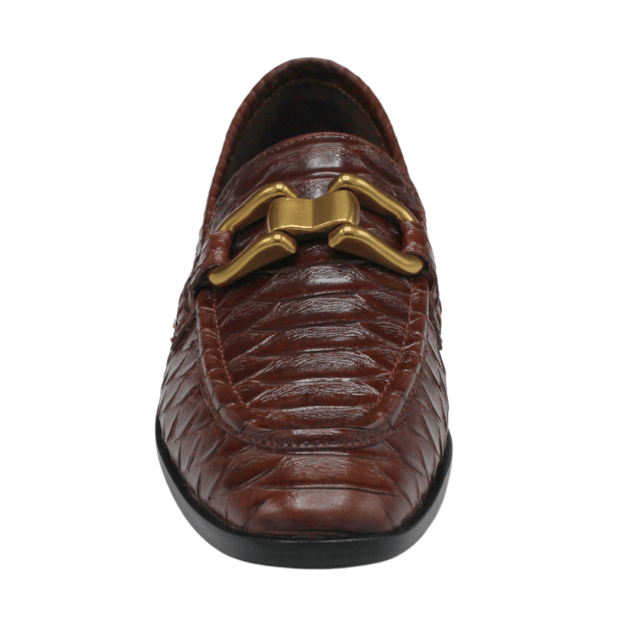brown snake