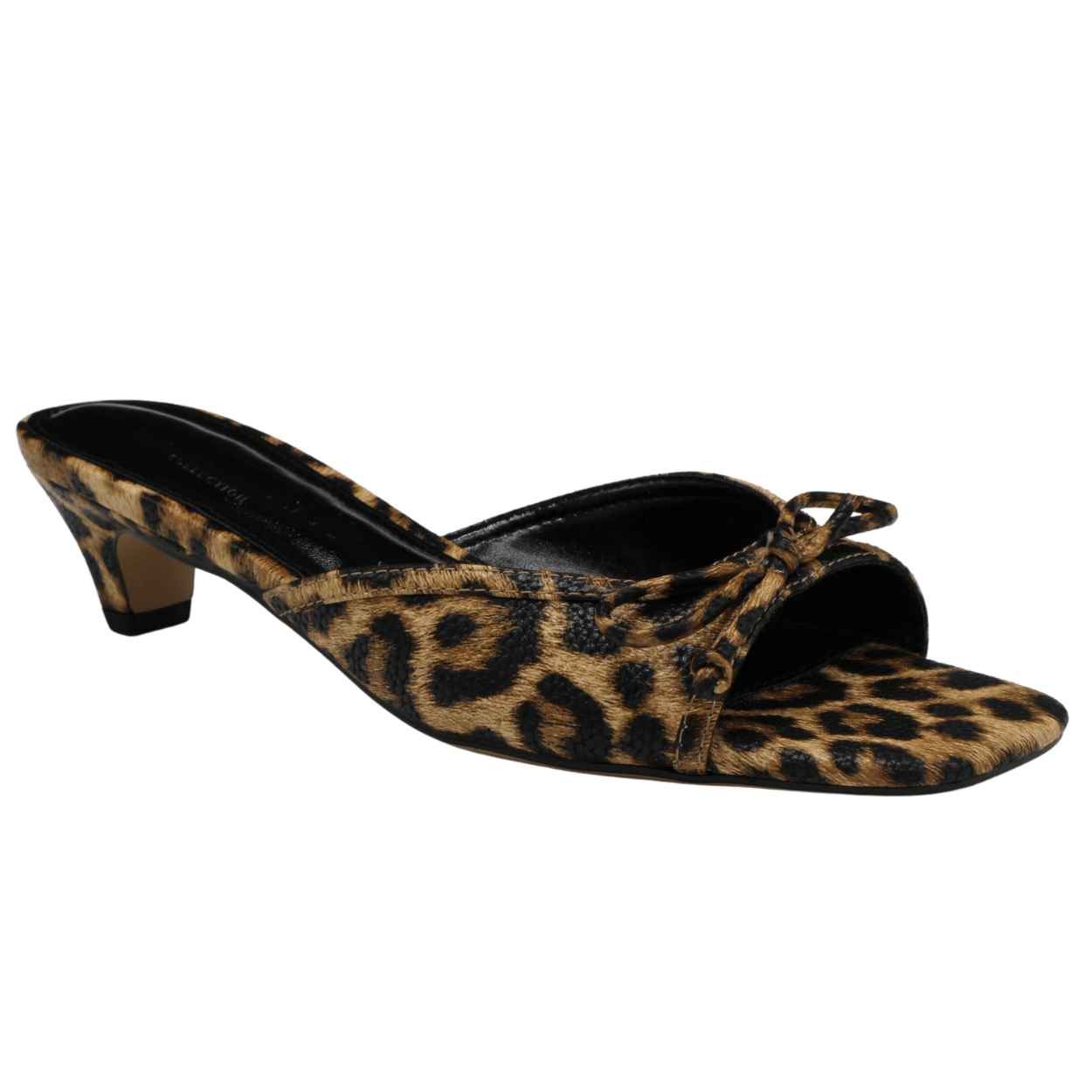 leopard