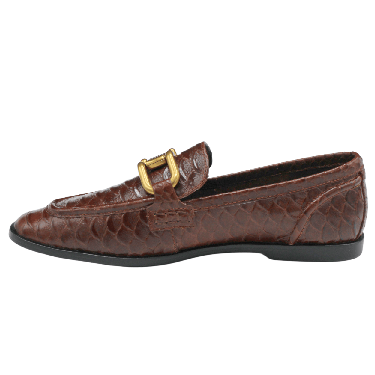 brown snake