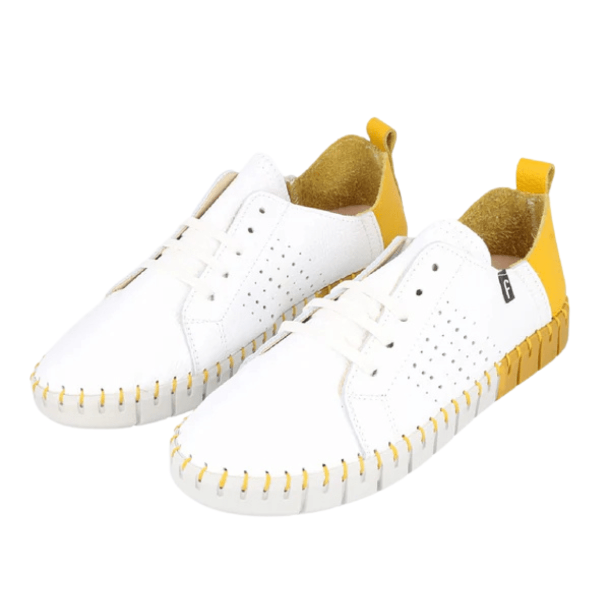 White/Yellow