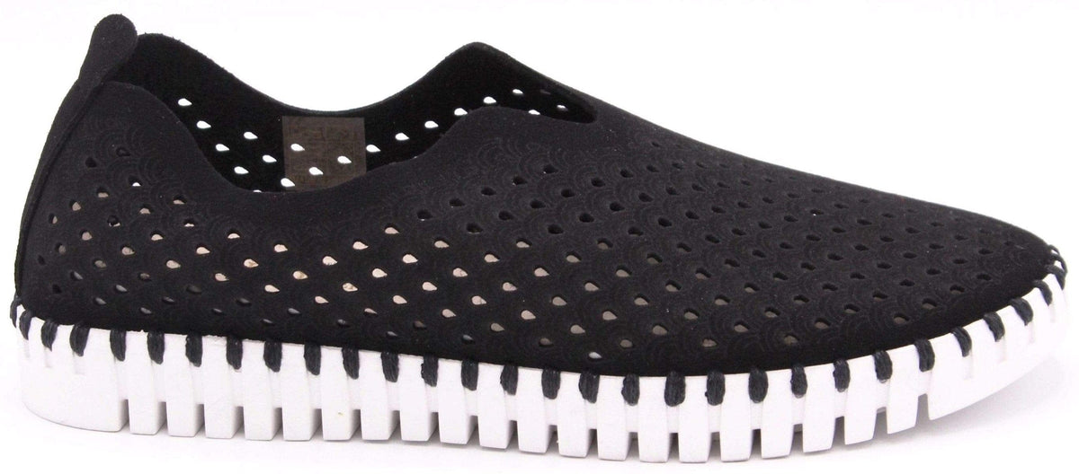 Ilse Jacobsen Tulip, Black