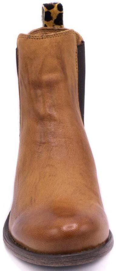 oyster-cognac/leopard
