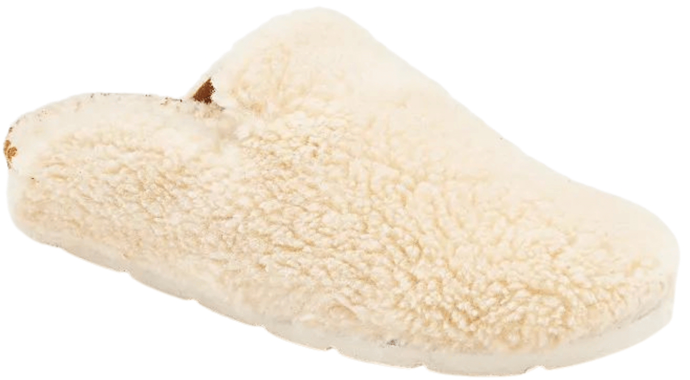 Shearling Damon Cozy Mule