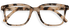 light-tortoise