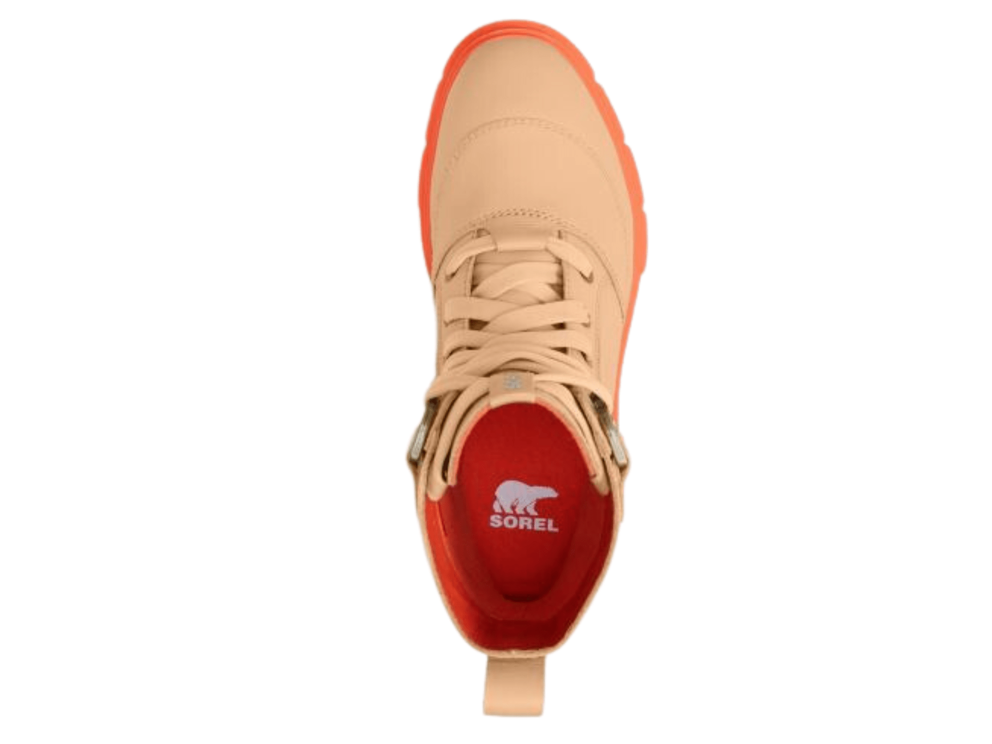 Caribou X Boot Lace