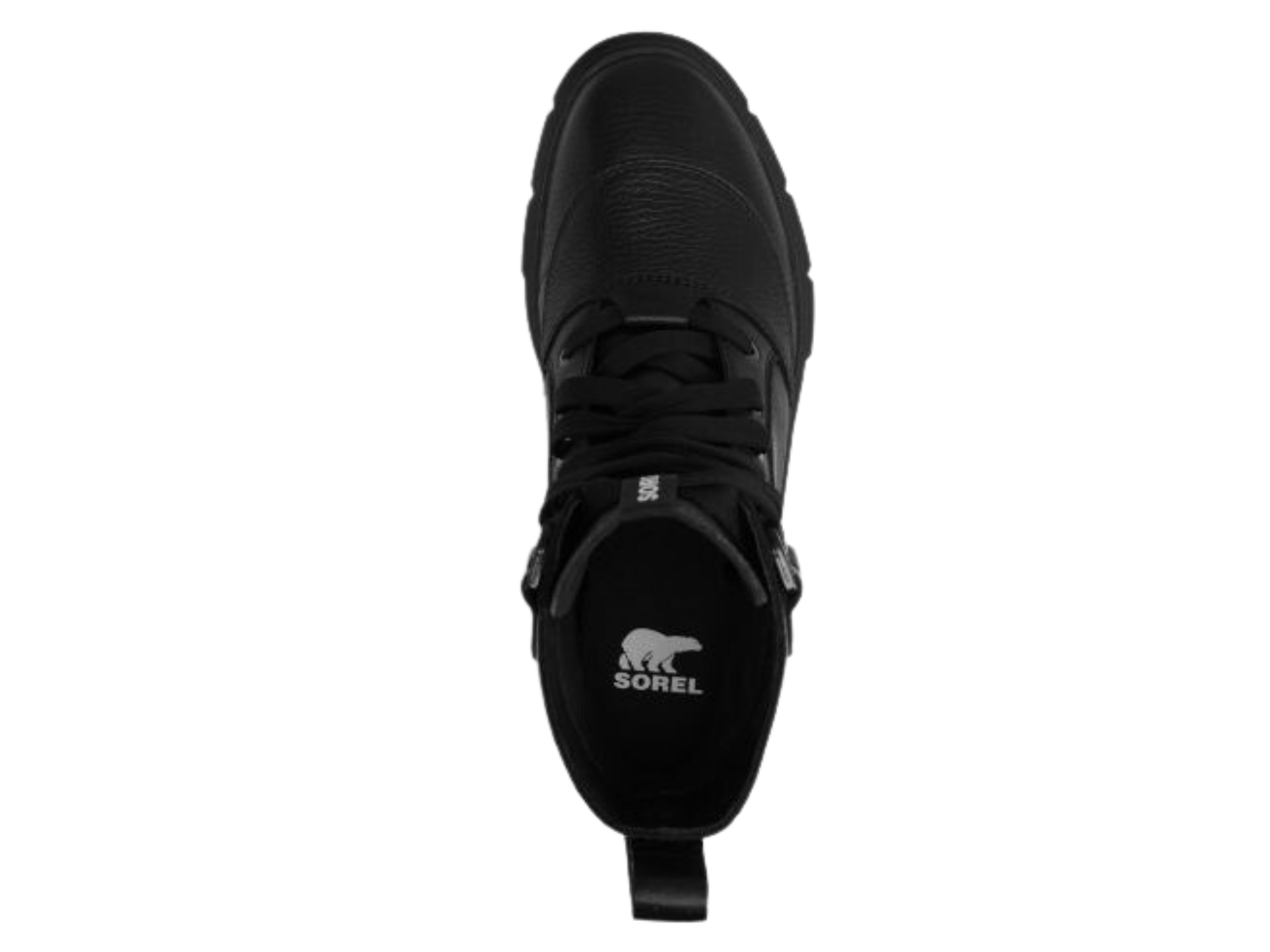 Caribou X Boot Lace