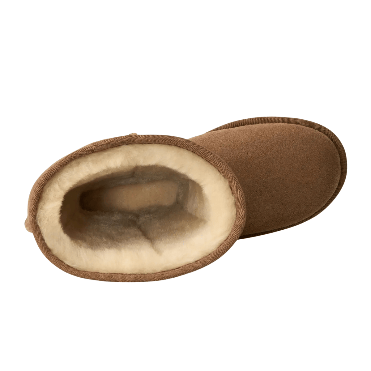 chestnut