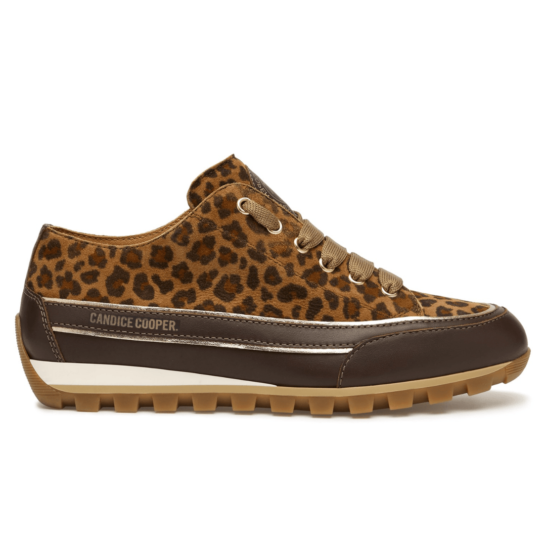 leopard