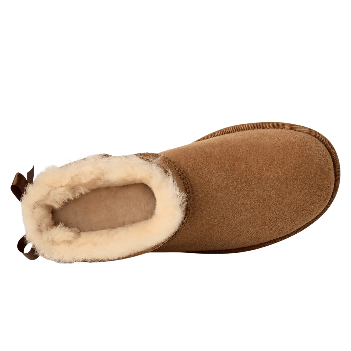 chestnut