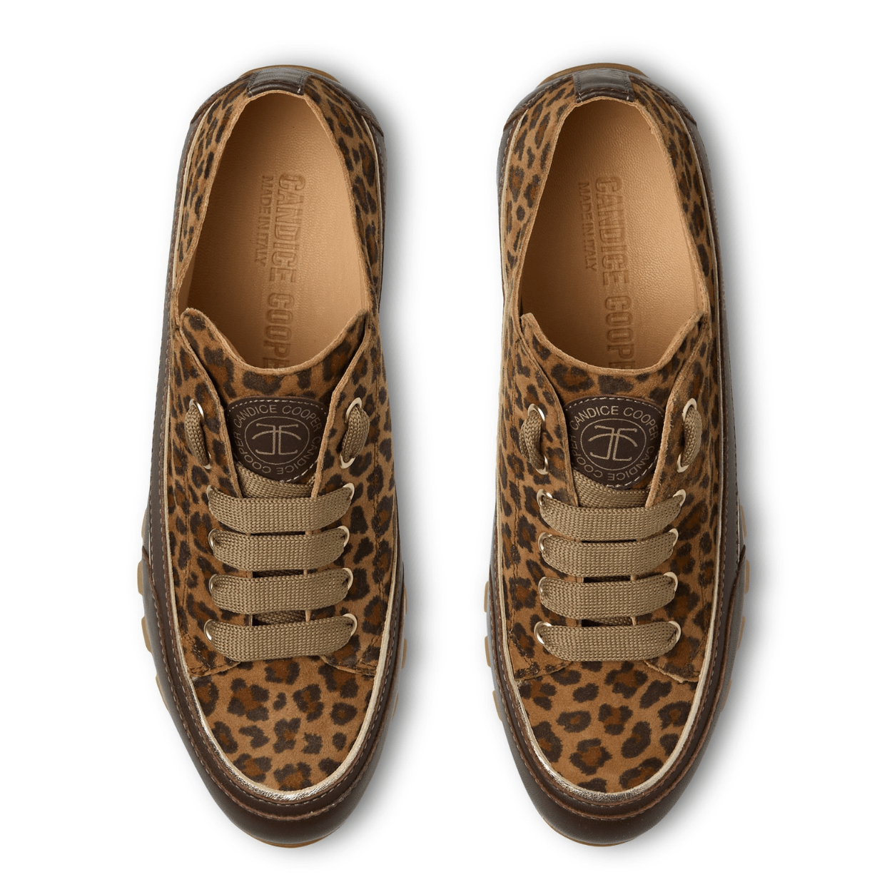 leopard