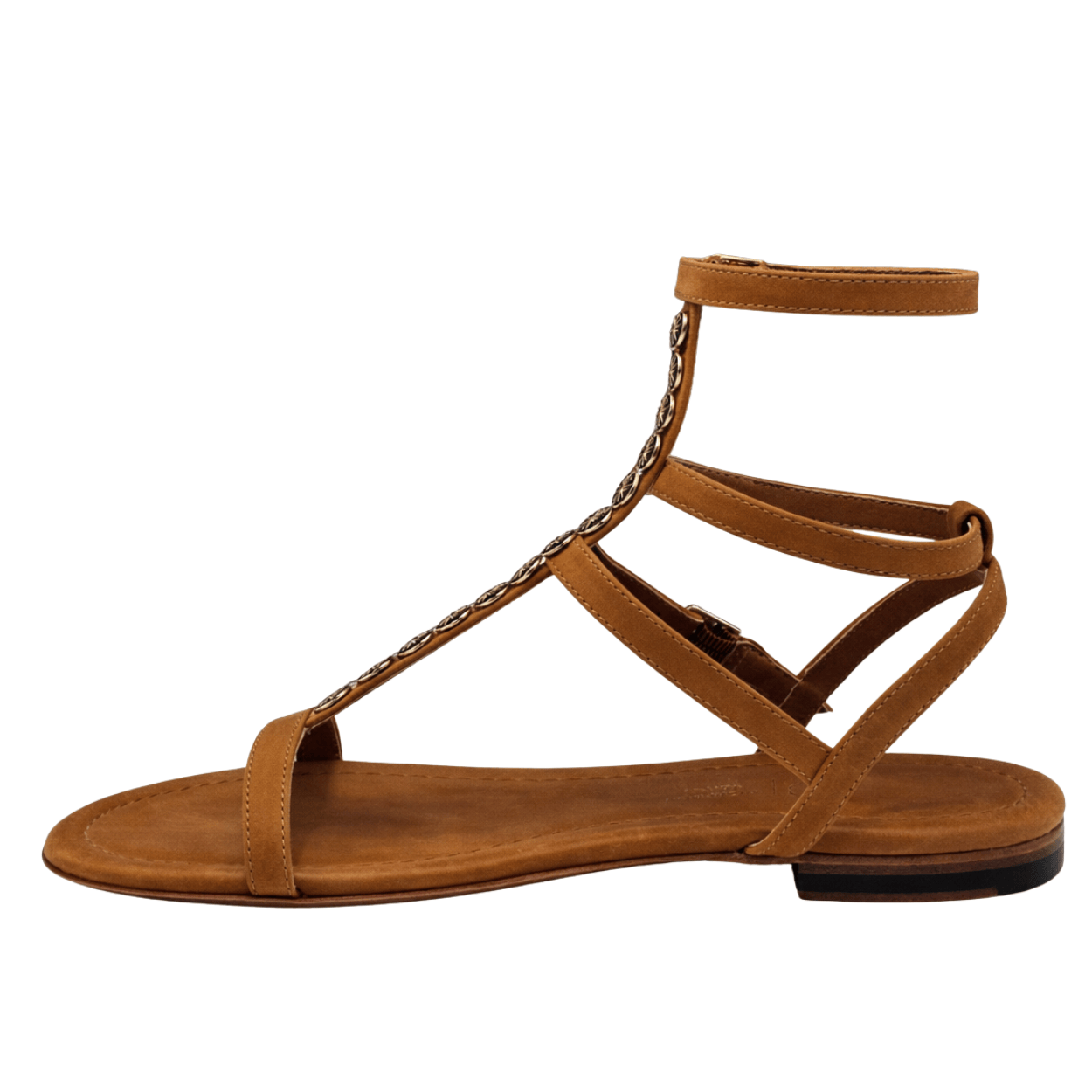 camel