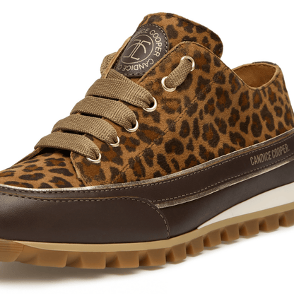 leopard