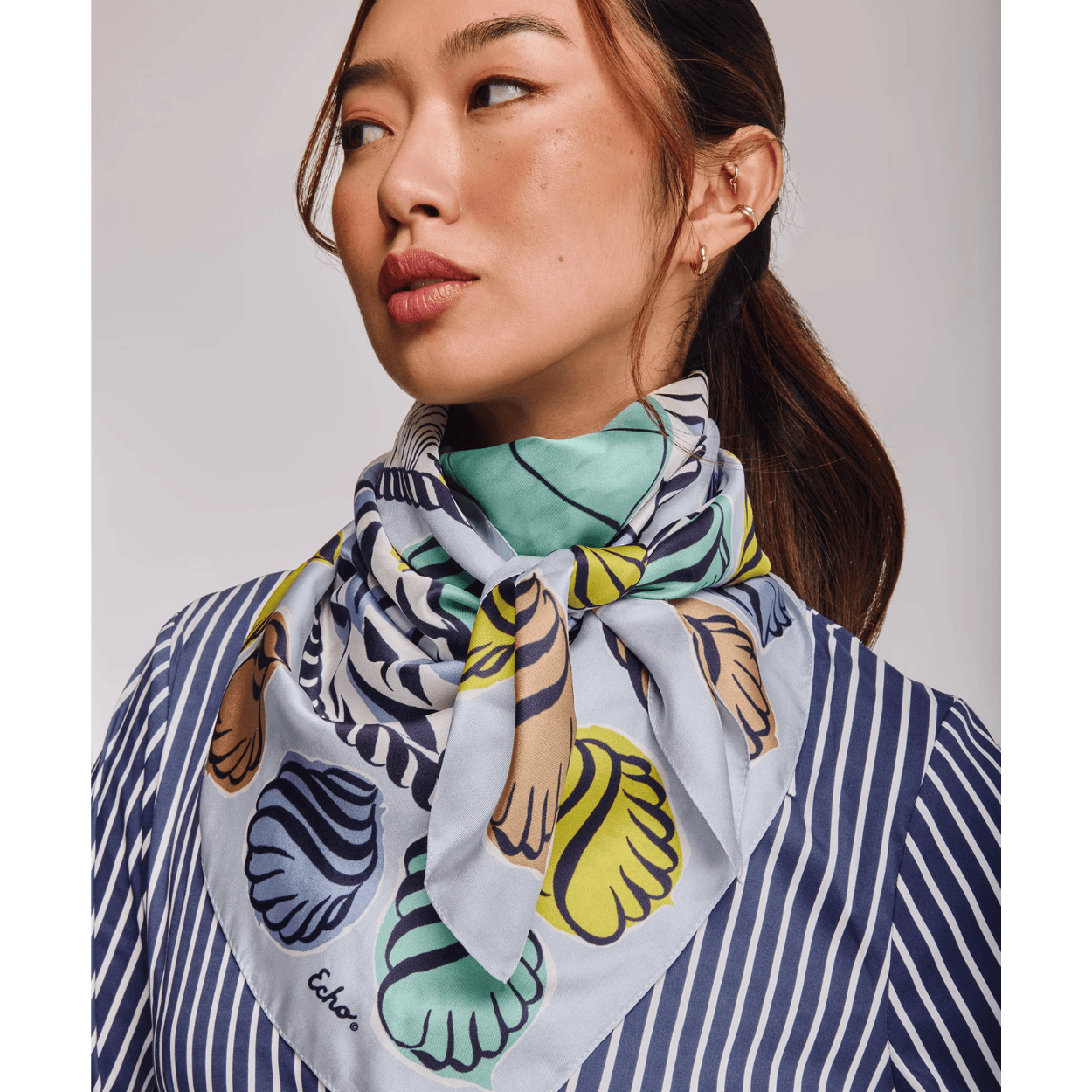 chambray
