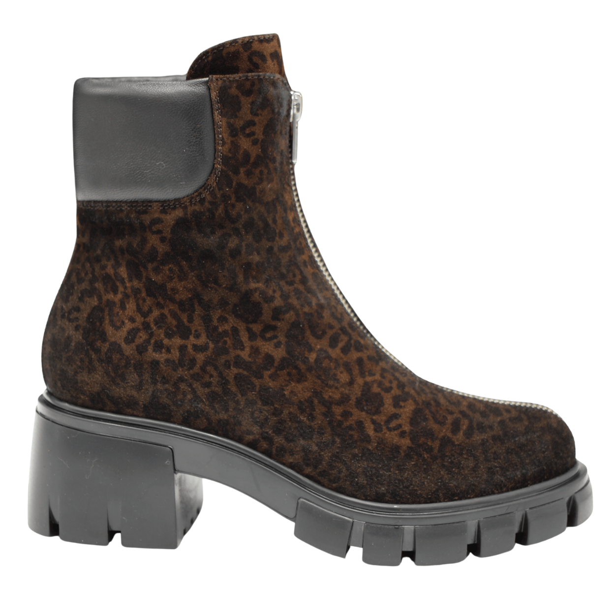 leopard