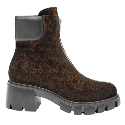 leopard