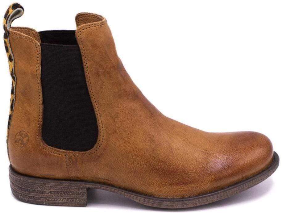oyster-cognac/leopard