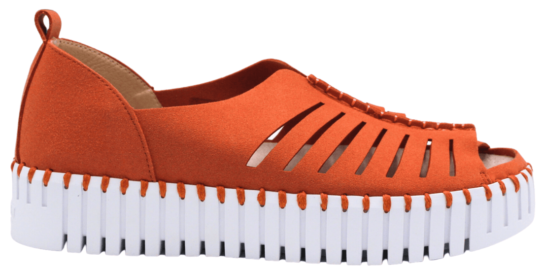 Ilse online johnson shoes