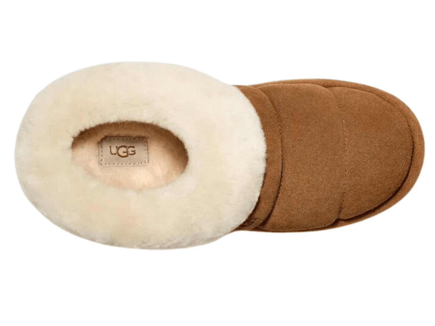 Women's Tazzlita – Shoe-Inn Women's Tazzlita – Shoe-Inn